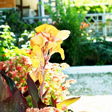 4 Seasons Апартаменты Химара