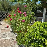 Appartement 4 Seasons Himare