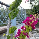 4 Seasons Химара