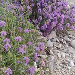 4 Seasons Himara