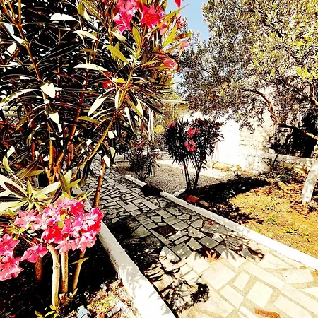 Apartment 4 Seasons Himare