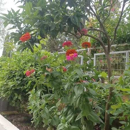 Apartamento 4 Seasons