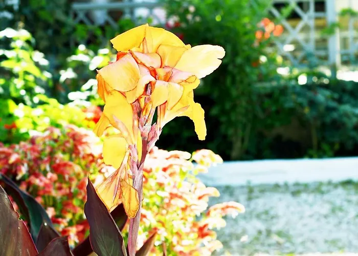 4 Seasons Daire Himarë