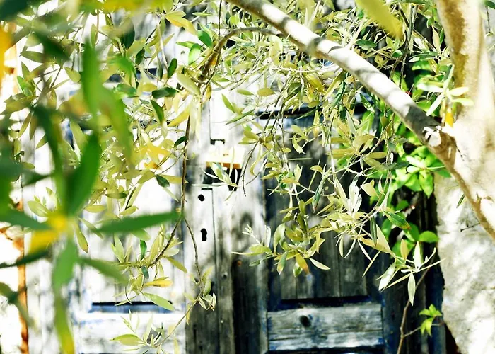 Appartement 4 Seasons