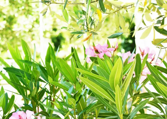 4 Seasons Daire Himarë