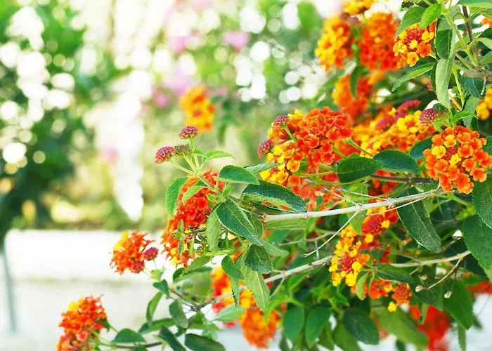 Daire 4 Seasons Himarë